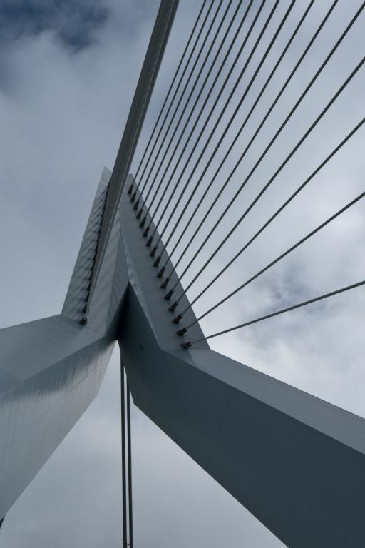 Rotterdam: Ersamusbrücke (Ben van Berkel 1996)
