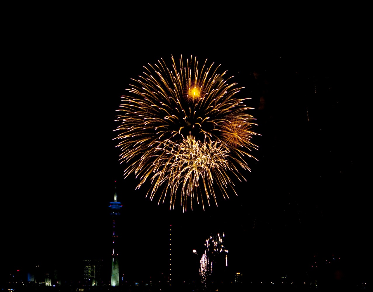 Feuerwerk am Japantag 2009